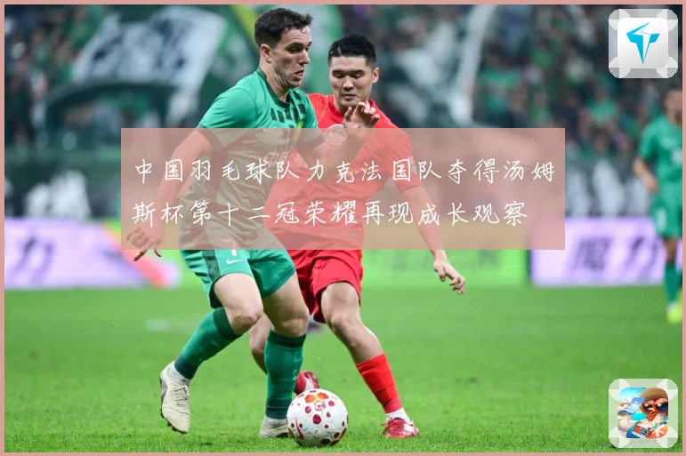 中国羽毛球队力克法国队夺得汤姆斯杯第十二冠荣耀再现成长观察